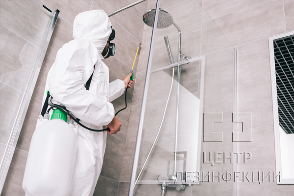 Санитарная обработка от тараканов в квартире  в Орехово-Зуеве